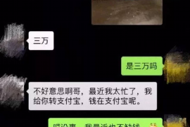 栖霞为什么选择专业追讨公司来处理您的债务纠纷？